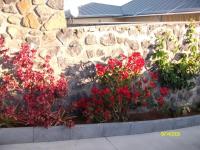 Les Nymphes De Bourbon - Bed and Breakfast