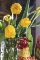 Locanda Orologio - Chambres d’hôtes Cormons