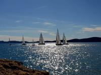 Apartment Luca - B&B Zadar