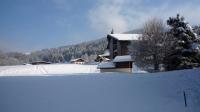 Appartement du Petit Bois - B&B Megève