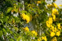 The Old Stables B&B - B&B Winslow