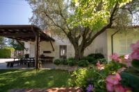 Trecentolivi B&b - B&B Montignano