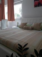 Appartamento Monolocale