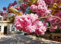 Clos des Ormes - B&B