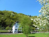 Haus Moselwiese - B&B Alf