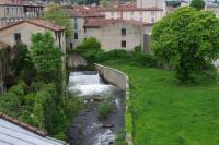 les camélias - B&B Mazamet