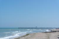 50 m2 de charme au coeur des plaisirs de la côte - B&B Luc-sur-Mer