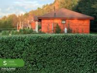 Cabañas Amunantu - B&B Futrono