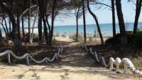 Helonata Apartments - B&B Arkoudi