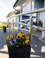 Niebieskie Domki - B&B Sasino