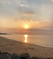 Garden Oasis - B&B Margate