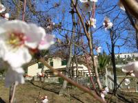 Ariabuona - B&B