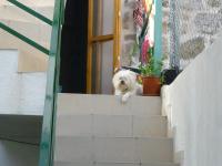 Cosy accommodation in the center of Split - B&B Spalato