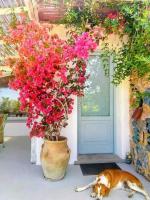 Paradiso verde a poca distanza dal mare - B&B Agropoli