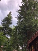 Camera Familiare con Bagno Privato