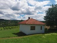 Apartment mit Gartenblick