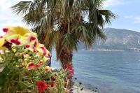 B&B Kotor - Maniva penthouse by the sea - Bed and Breakfast Kotor