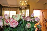 Ronique's Guest House - B&B Rustenburg