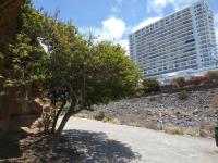 Studio Playa Paraiso Tenerife - ocean view and internet wifi optical fiber - for rent - B&B