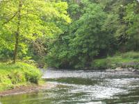 Doonbank Cottage Bothy - B&B Ayr