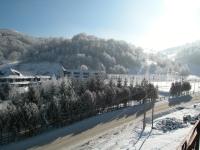 Apartments and Rooms Vicko - B&B Brzeće