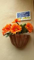 Il Golfo e i Limoni - B&B