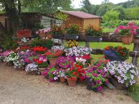 Chambres d'hôtes de la ferme apicole d'Espagnac Corrèze - B&B Espagnac