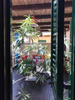 Casa La Veranda di Ligny - Ferienwohnung Favignana