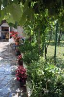 Apartment Vera - B&B Umago