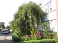 B&B Husum - Ferienwohnungen Hebbel - Bed and Breakfast Husum