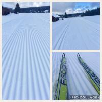 Appartement Supérieur avec Balcon