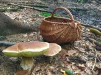 Ubytování u Vydřího mostu - B&B Horská Kvilda