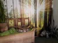 Apartment feelthenature - B&B Faistenau