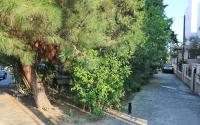 Elena 2 - B&B Kavala