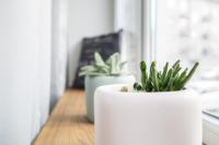 Downtown Apartment Rentals 2 - Ferienwohnung