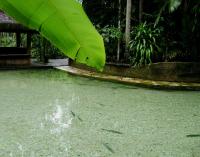 Jardim da Amazônia Lodge - B&B