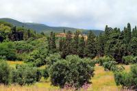 Agriturismo Pimpinnacolo - Ferienwohnung Porto Ercole