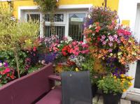 Globe Guesthouse - Ferienwohnung