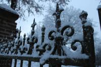 La Petite Ferme du Marais - Bed and Breakfast