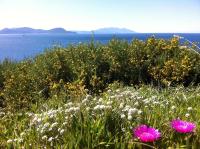 Cottage con Vista Giardino