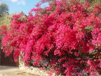 Villetta a 300mt dal mare Cala Sinzias - B&B Cala Sinzias
