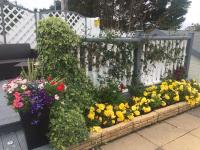 Hillcrest House Self Catering Apartments - Chambres d’hôtes