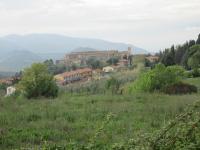 Il Merlo Verde - B&B Monteverdi Marittimo