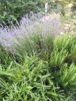 Chez Jeff & Aurélie - B&B Draguignan