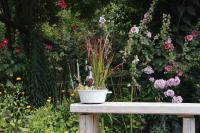 Döllelhof Erding - B&B Erding