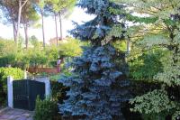 Appartamento nella campagna romana - B&B San Cesareo