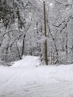 Cabañas Kalinaw - B&B Las Trancas