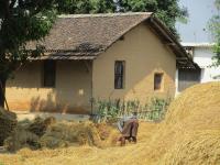 Bardiya Community Homestay - B&B
