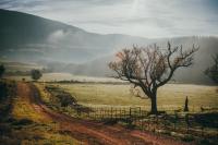 Appelsbosch Guest Farm - B&B Swellendam