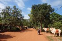 Authentic Cambodian Angkor Cottage